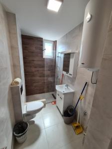 a bathroom with a toilet and a sink at Apartman Jelena Sokobanja in Soko Banja