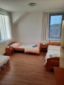 Pokój z 2 łóżkami i 2 oknami w obiekcie Penzion U Mnicha w mieście Vilémov