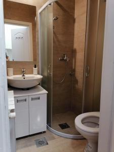 a bathroom with a shower and a toilet and a sink at Downtown Parliament in Belgrade
