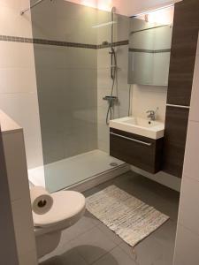 a bathroom with a toilet and a sink and a shower at Residentie beethoven in Knokke-Heist