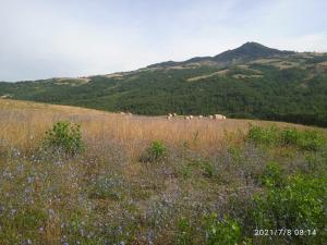 Fotografia z galérie ubytovania Due Principi e una Fata v destinácii Sestola