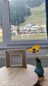 una flor amarilla en un jarrón sobre una mesa cerca de una ventana en Snjezna pahuljica en Bjelašnica