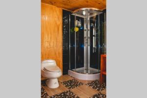 a bathroom with a toilet and a shower at Cunco casa de campo in Temuco