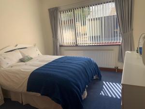 - une chambre avec un lit doté d'une couverture bleue dans l'établissement Gracey's Hillside Lodge, à Ballyward