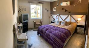1 dormitorio con 1 cama grande y TV en Hosteria Puerto Palos en Puerto Pirámides
