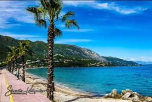 a beach with palm trees and a body of water at Afroditi´s House in Ýpsos