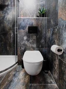 a bathroom with a toilet and a bath tub at TatryView Apartments by KingDubaj in Veľká Lomnica