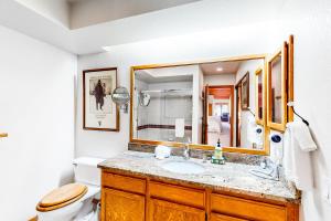 a bathroom with a sink and a toilet and a mirror at Elkhorn Retreat in Sun Valley +25 photos