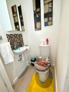 La salle de bains est pourvue de toilettes et d'un lavabo. dans l'établissement 4 bedroomed maisonette in City Centre, near Barbican & Seafront, à Plymouth