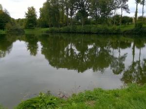 a pond in a park with trees reflecting in the water at Maison de charme en pleine nature avec étang de pêche, proche d'Authon-du-Perche, animaux admis. - FR-1-581-1 in Authon-du-Perche