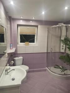 een badkamer met een toilet, een wastafel en een douche bij Apartament Rycerka Górna in Rycerka Górna