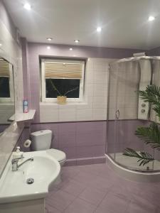 Kúpeľňa v ubytovaní Apartament Rycerka Górna