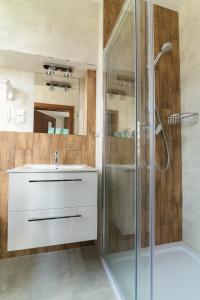 La salle de bains est pourvue d'un lavabo et d'une douche. dans l'établissement Astra Apartments, à Oświęcim