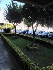 twee bomen in het gras naast een parkeerplaats bij Covelo in Porto
