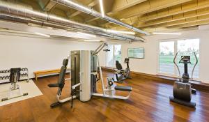 Fitness centrum a/nebo fitness zařízení v ubytování At the Park Hotel