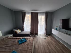 een woonkamer met een bank en een televisie bij Garsoniera Zebra in Braşov