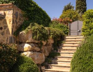 un escalier avec une porte et des buissons dans l'établissement Le Case Di Camin Bianco, à Castelfiorentino