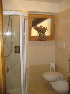 a bathroom with a shower and a toilet and a sink at Appartamenti Decrestina in Campitello di Fassa