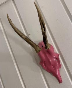 Fotografia z galérie ubytovania PinkDeer v Hallstatte