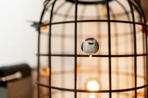 Fotografie z fotogalerie ubytování Bossche Suites No2 - Verwersstraat v destinaci Den Bosch