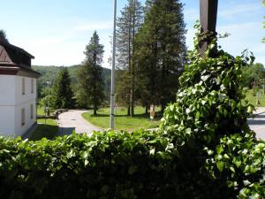 Príroda v okolí hotela