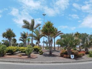 A garden outside La flor del Atlantico