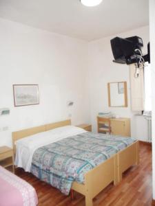 1 dormitorio con 1 cama y TV en la pared en Albergo Giardino, en Badia Prataglia