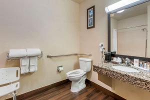 Koupelna v ubytování Comfort Inn Payson