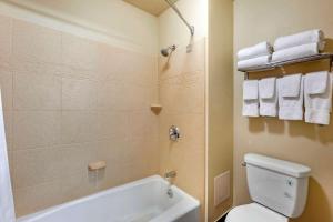 Koupelna v ubytování Comfort Inn Payson
