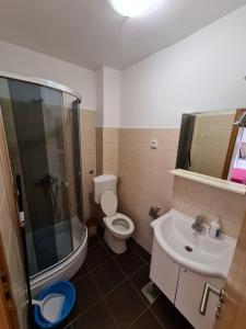 a bathroom with a toilet and a shower and a sink at Apartmani Niko in Neum