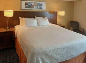 a large bed in a hotel room with two lamps at Comfort Inn & Suites Ankeny - Des Moines in Ankeny