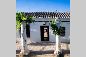 a white building with a doorway and a door with vines at Casa El Carmen in Ciudad Real