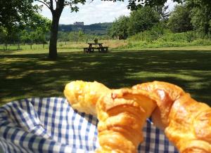 BoisseuilhCamping Belle Vue的公园里餐巾上的面包
