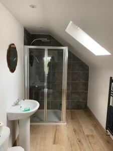 a bathroom with a shower and a sink at Stay with St Davids Kitchen in St. Davids