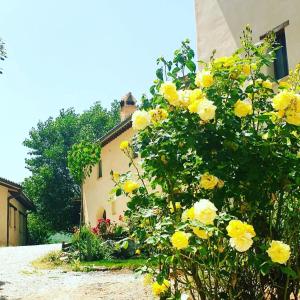 Agriturismo Il Covo del Solengo外面的花园