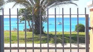 una puerta con una palmera frente al océano en VILLA STELLA fronte mare Porto Frailis, en Àrbatax