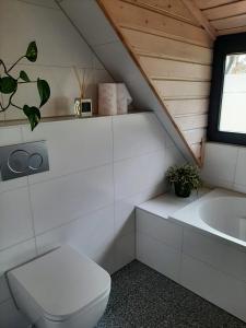 a white bathroom with a toilet and a sink at Vakantiehuis met hottub en barrelsauna in Ommen +27 photos