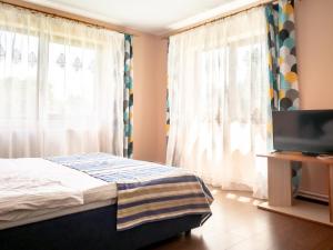 Pensiunea Magda في كامبولونغ مولدوفينيسك: غرفة نوم مع سرير وتلفزيون بشاشة مسطحة