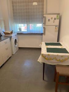 a kitchen with a refrigerator and a washing machine at Sweet Appartament in Timişoara