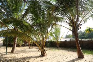 Paesaggio naturale nelle vicinanze del bed & breakfast