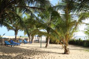 Spiaggia vicina o nei dintorni del bed & breakfast