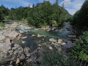 Príroda v okolí apartmánu