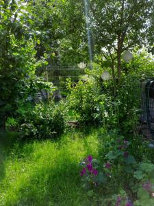 Zahrada ubytování Gästewohnung am Thümmlitzwald