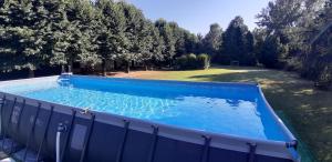an overhead view of a large blue swimming pool at La Torre di Longara in Calderara di Reno