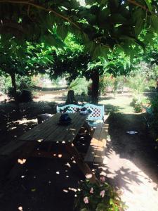una mesa de picnic y un banco en un parque en VILLA EDEN en Figari