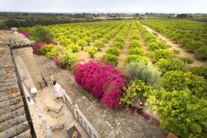 Gallery image of Hotel Villa Favorita in Noto
