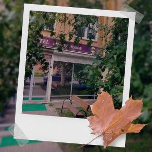 a maple leaf sitting in front of a bench at Hostel Happy House в центре in Izhevsk