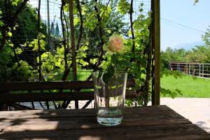 Vonkajšia záhrada v ubytovaní In Collina B&B
