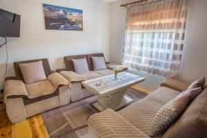 Sala de estar con sofás y mesa de centro en Lux Apartment, en Žabljak
