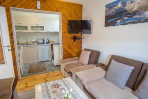 sala de estar con 2 sofás y cocina en Lux Apartment, en Žabljak